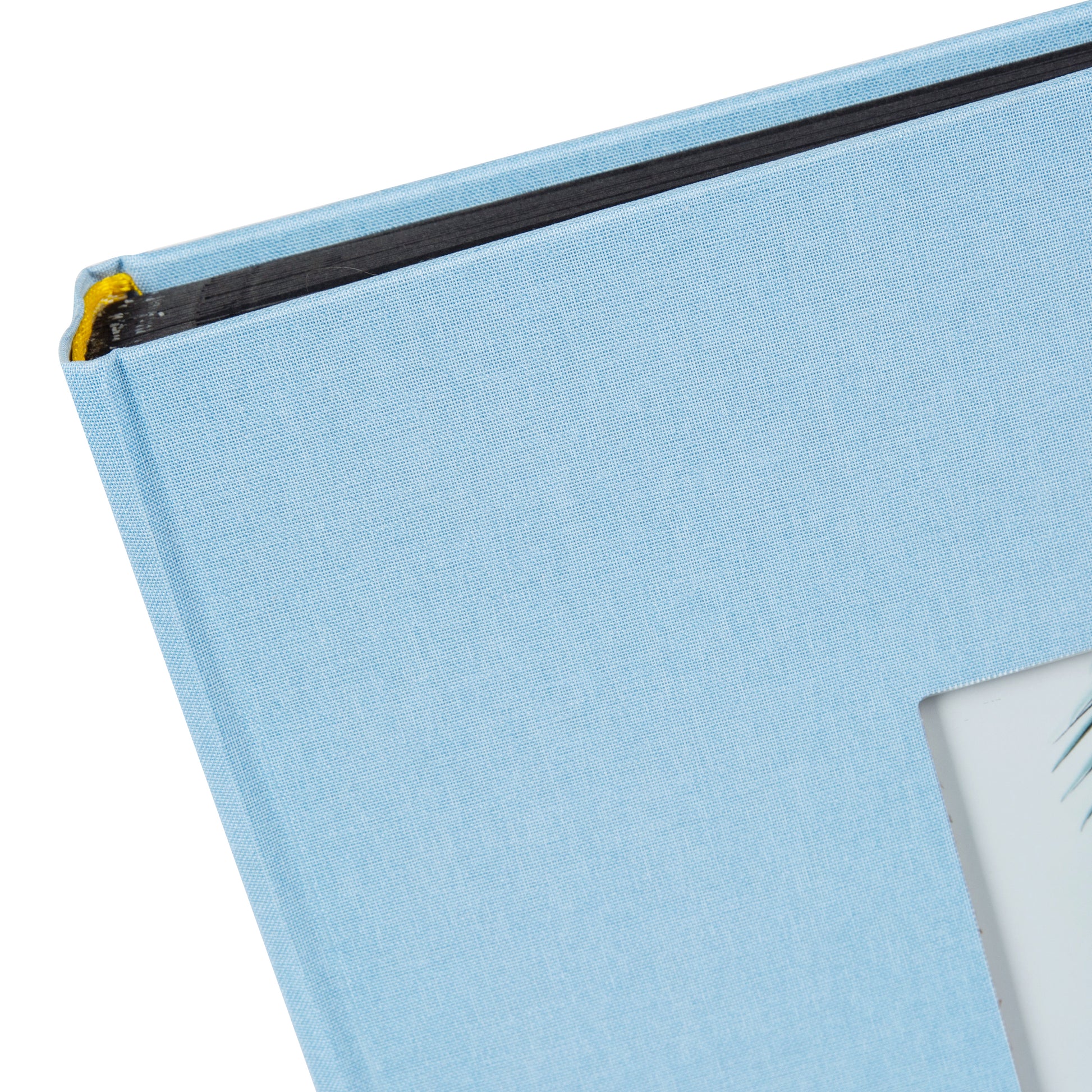 An elegant sky blue Goldbuch photo album with black pages, with a pineapple on its cover
