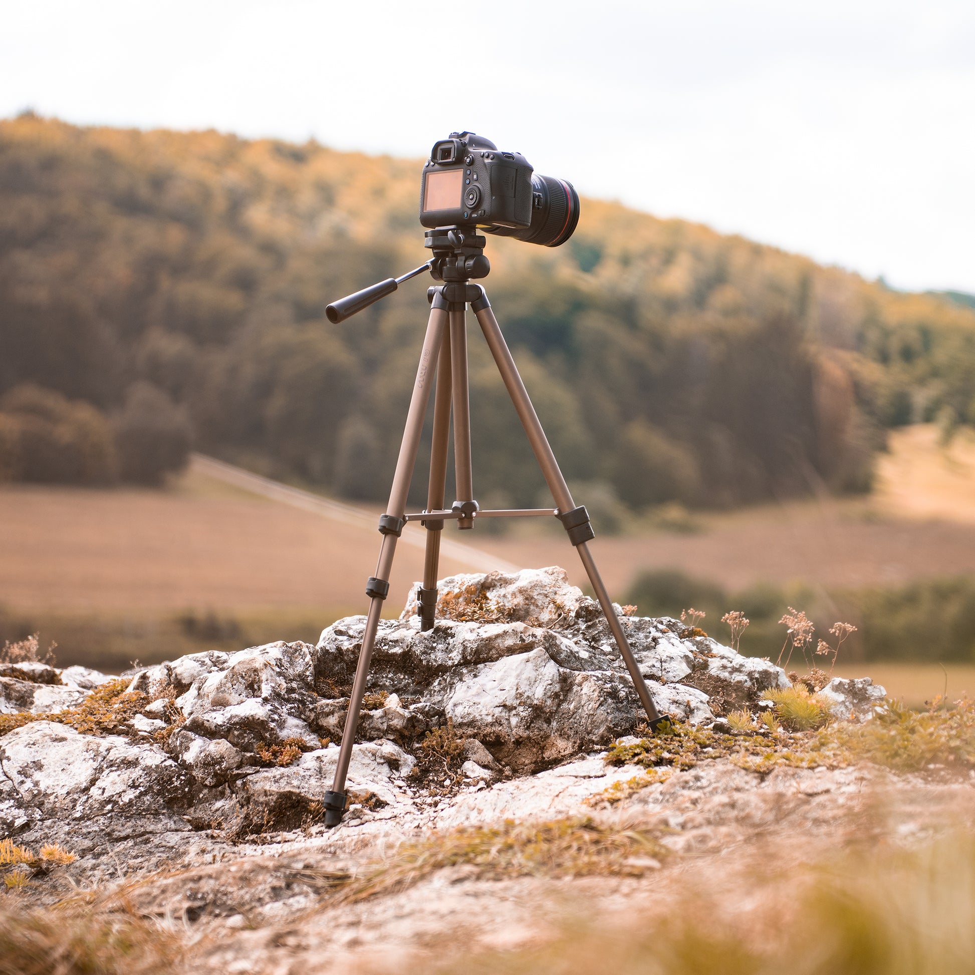 A Hama tripod supporting a camera, positioned for photography, showcasing stability and professional equipment.