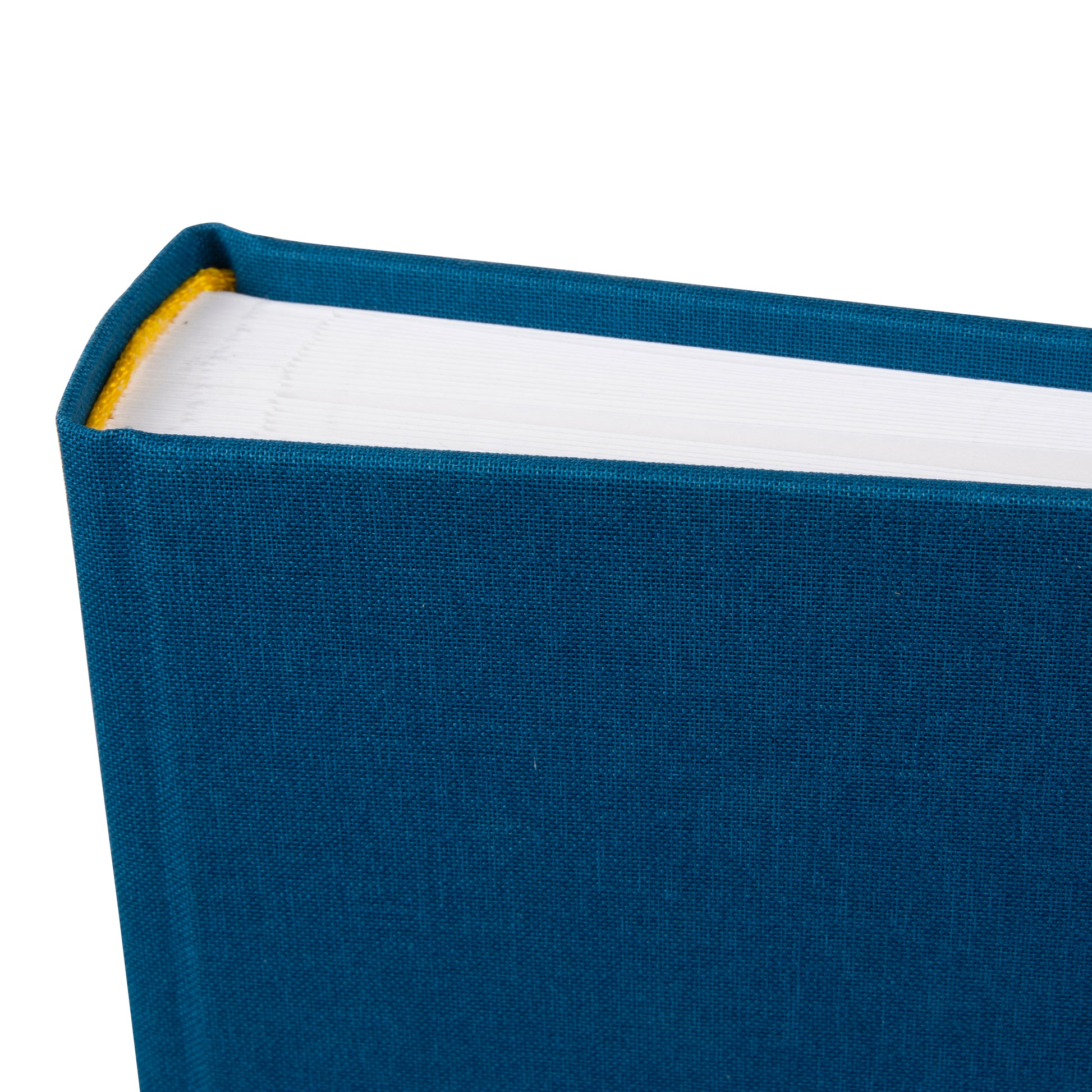 Corner of a blue Goldbuch photo album