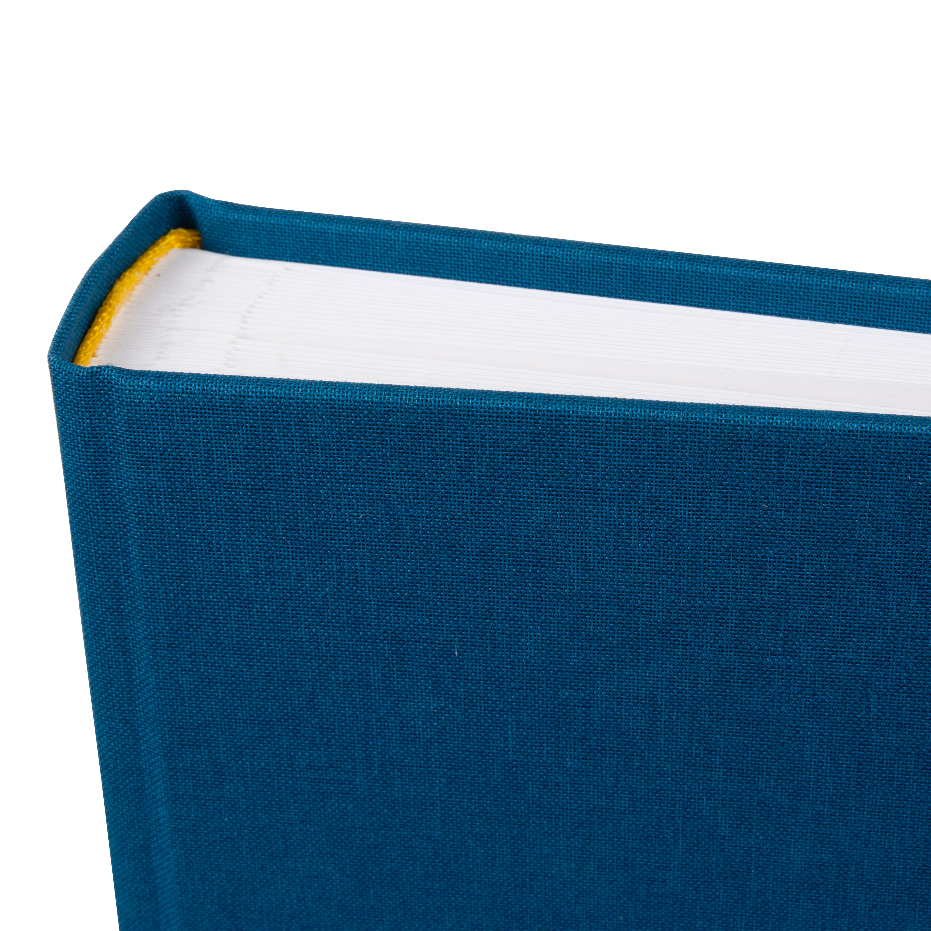 Corner of a blue Goldbuch photo album