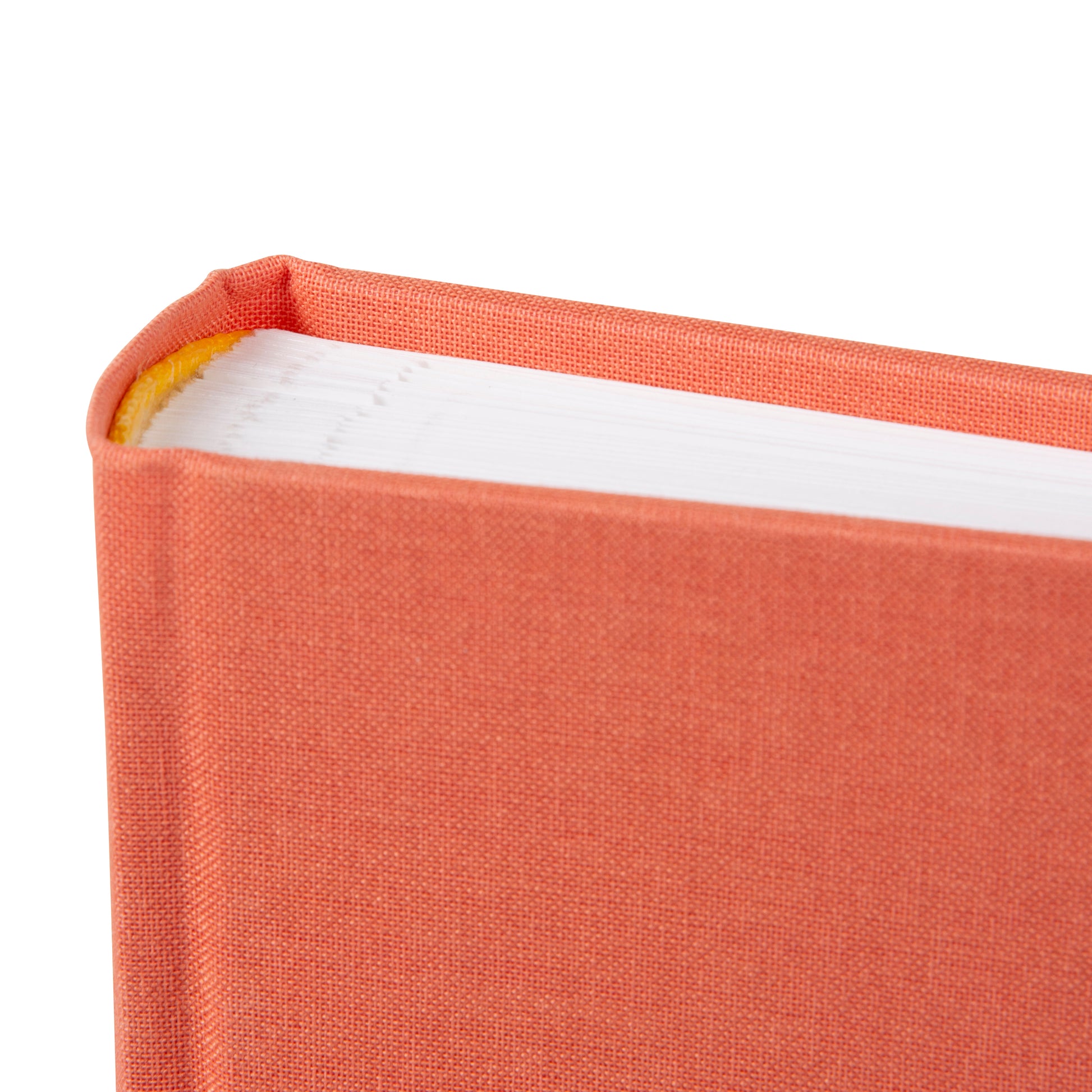 A salmon color Goldbuch photo album corner.