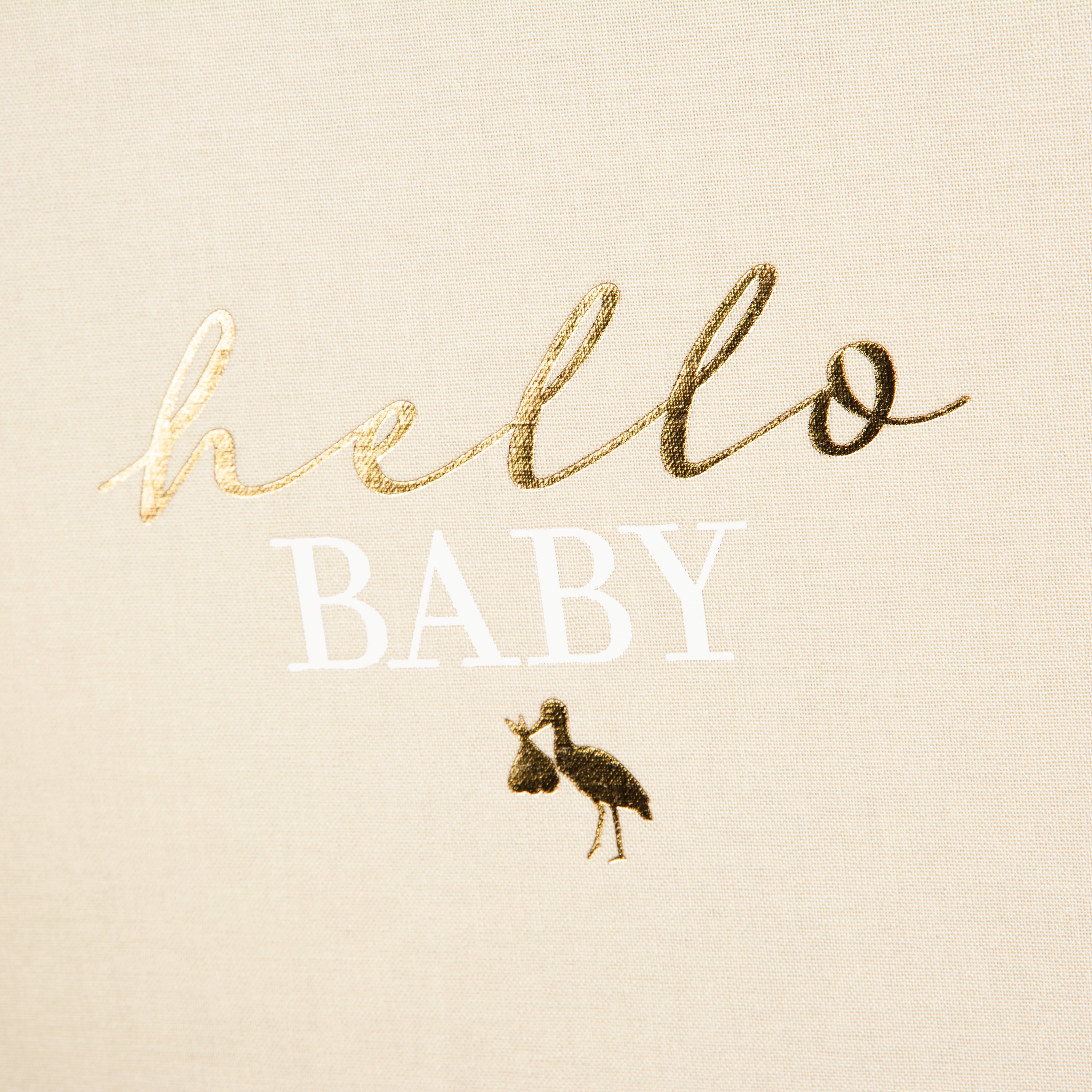 An adorable Goldbuch photo album labeled "Hello Baby," capturing the joyful moments and milestones of a newborn's journey.