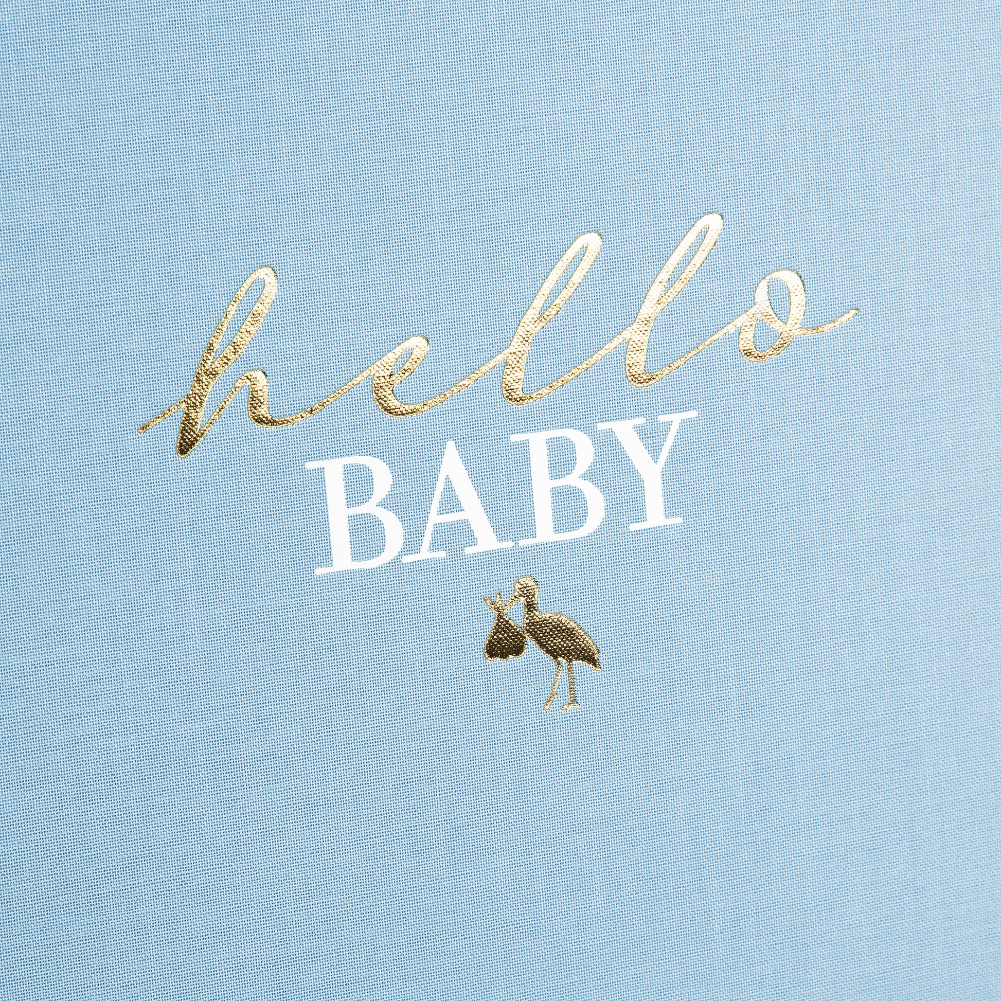 Goldbuch photo album with hello baby text on a light blue surface.