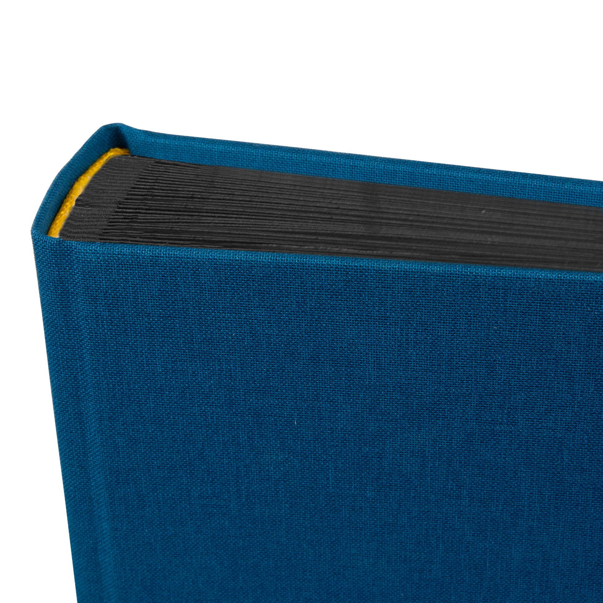 A Goldbuch blue photo album with a cover illustration of a woman cycling, showcasing its hardcover design and black pages.
