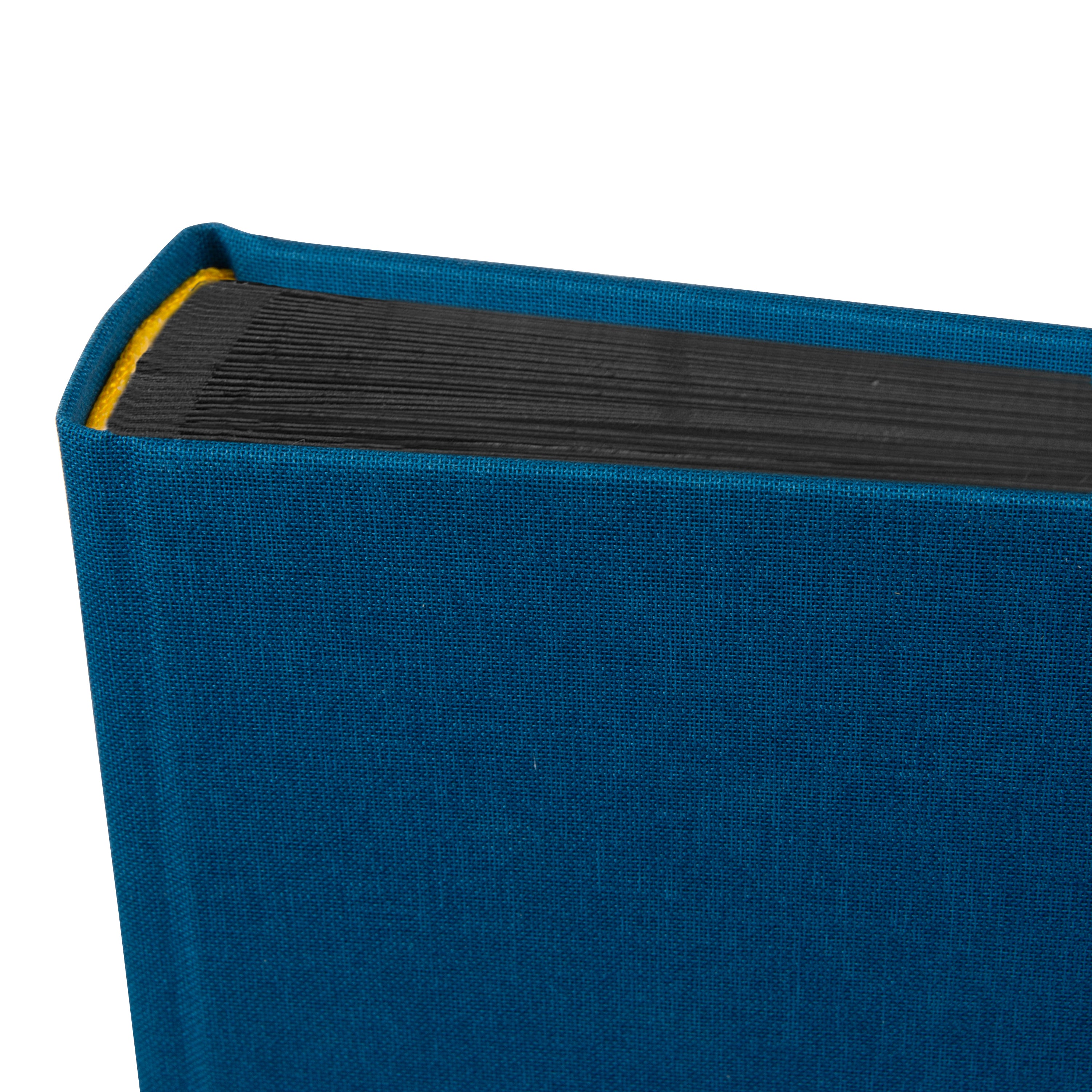 A Goldbuch blue photo album with a cover illustration of a woman cycling, showcasing its hardcover design and black pages.
