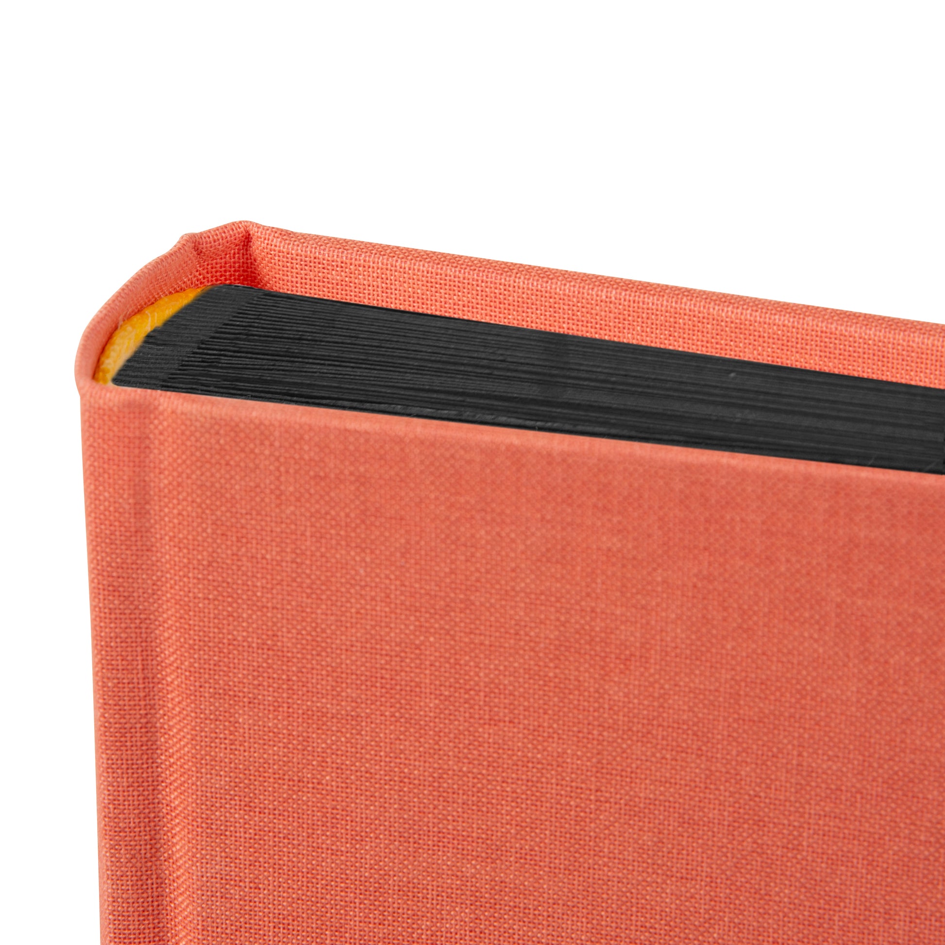 A Goldbuch salmon coloured photo album with a cover illustration of a woman on a pier showcasing its hardcover design and black pages.