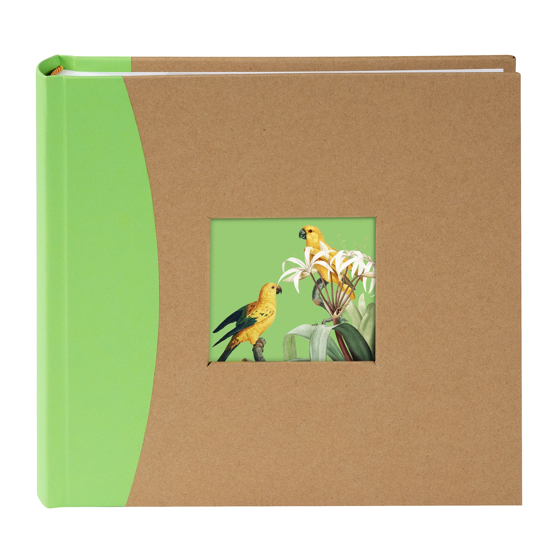 Three Goldbuch photo albums with colorful front covers and bird illustrations on a white background