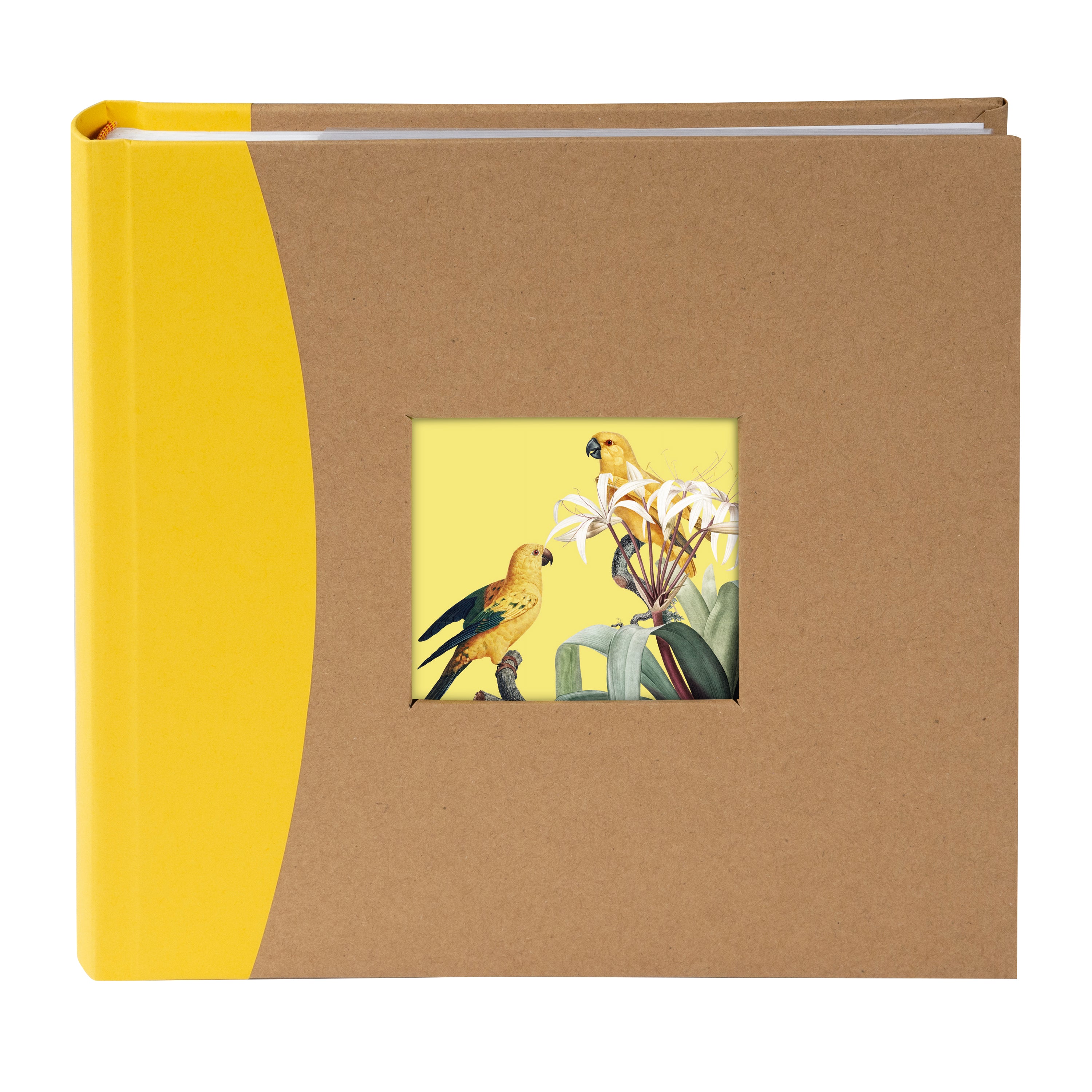 Three Goldbuch photo albums with colorful front covers and bird illustrations on a white background
