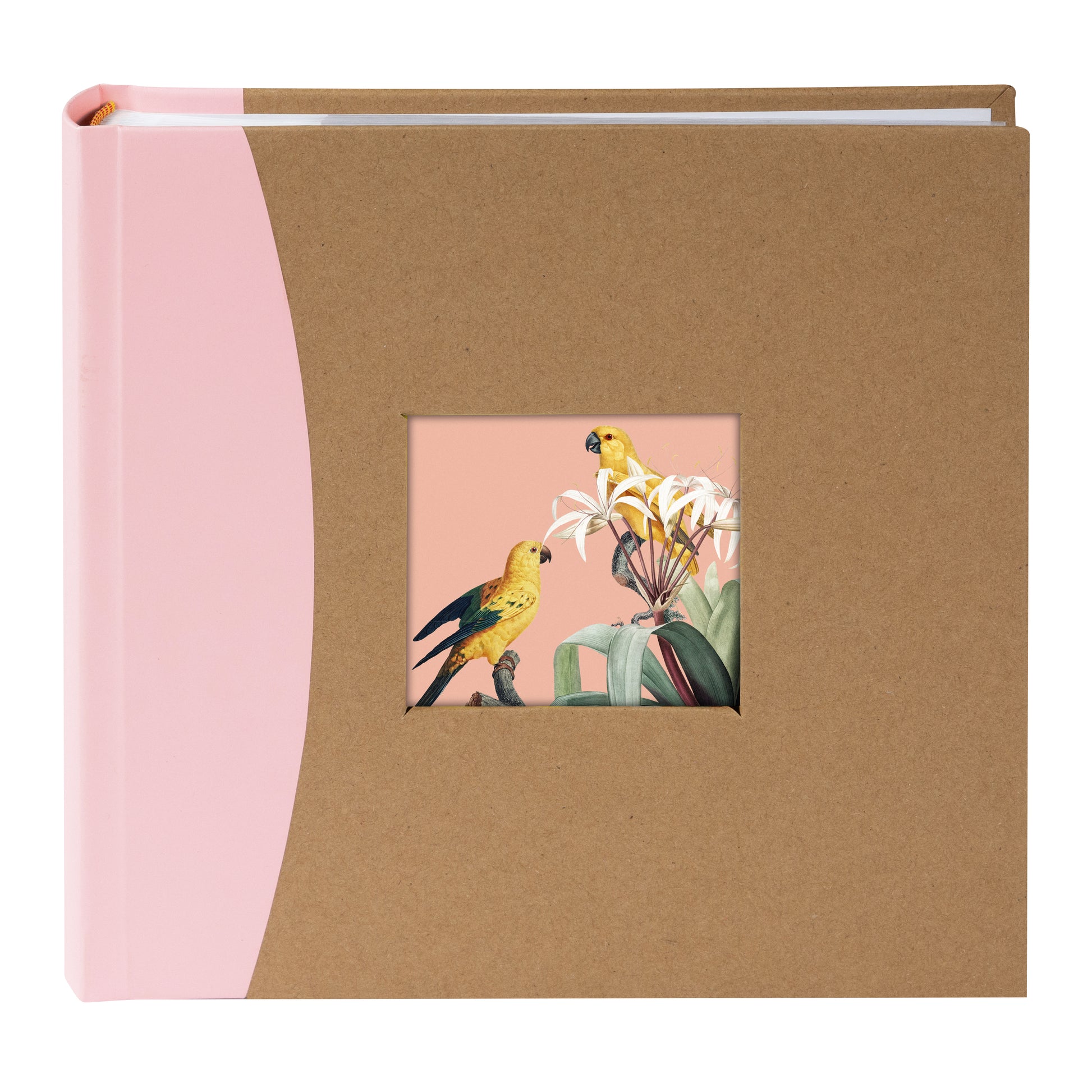 Three Goldbuch photo albums with colorful front covers and bird illustrations on a white background