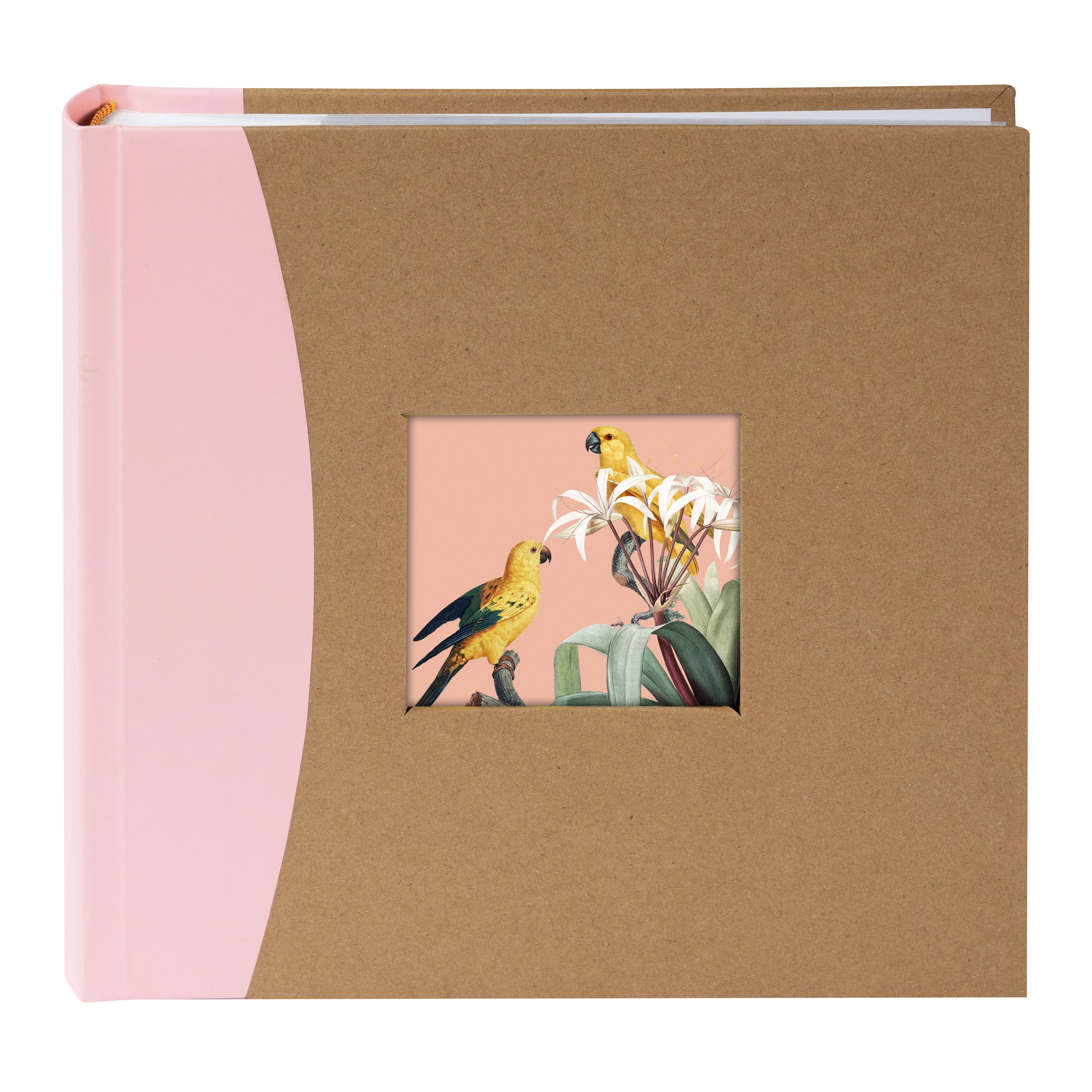 Three Goldbuch photo albums with colorful front covers and bird illustrations on a white background