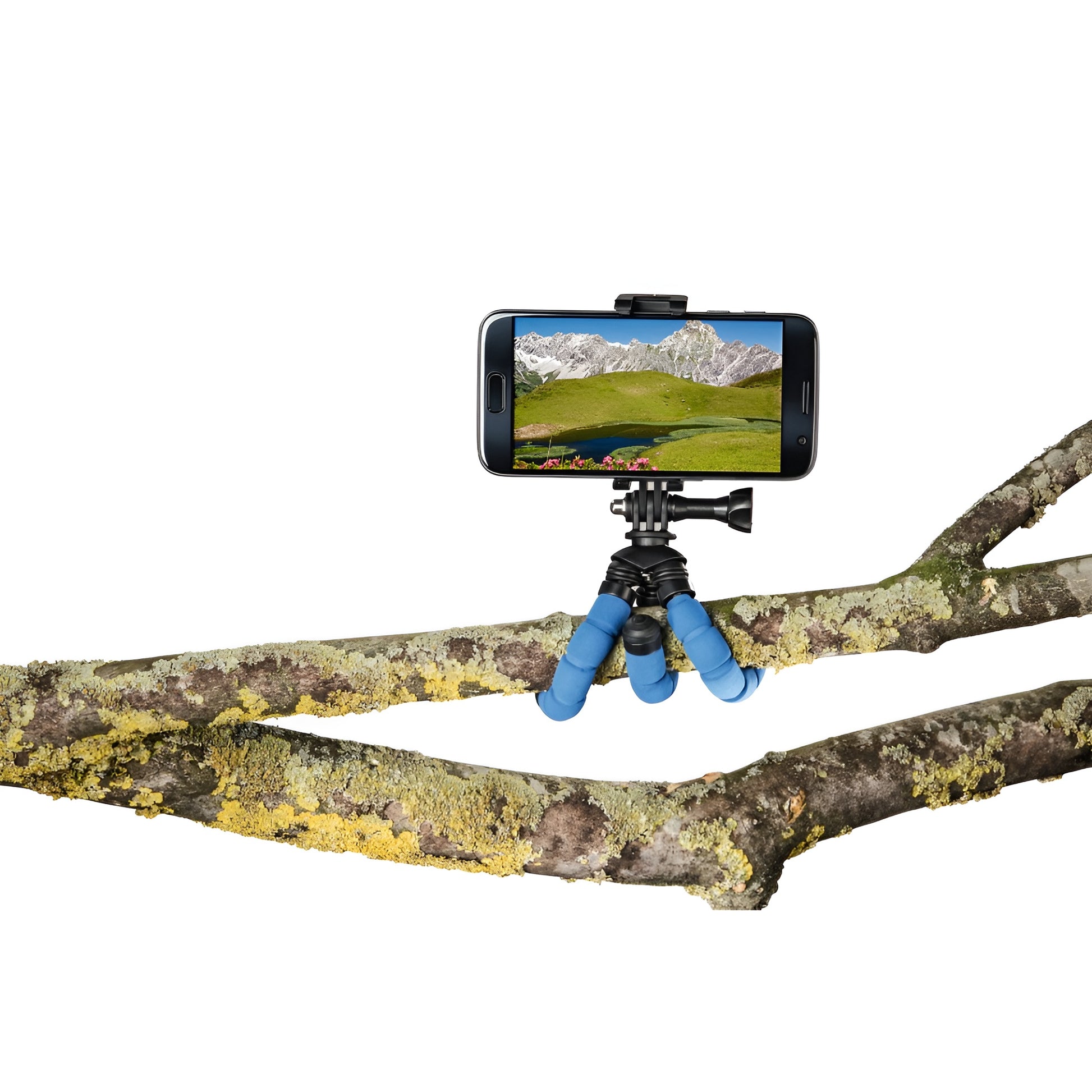 A Hama tripod supporting a camera, positioned for photography, showcasing stability and professional equipment.