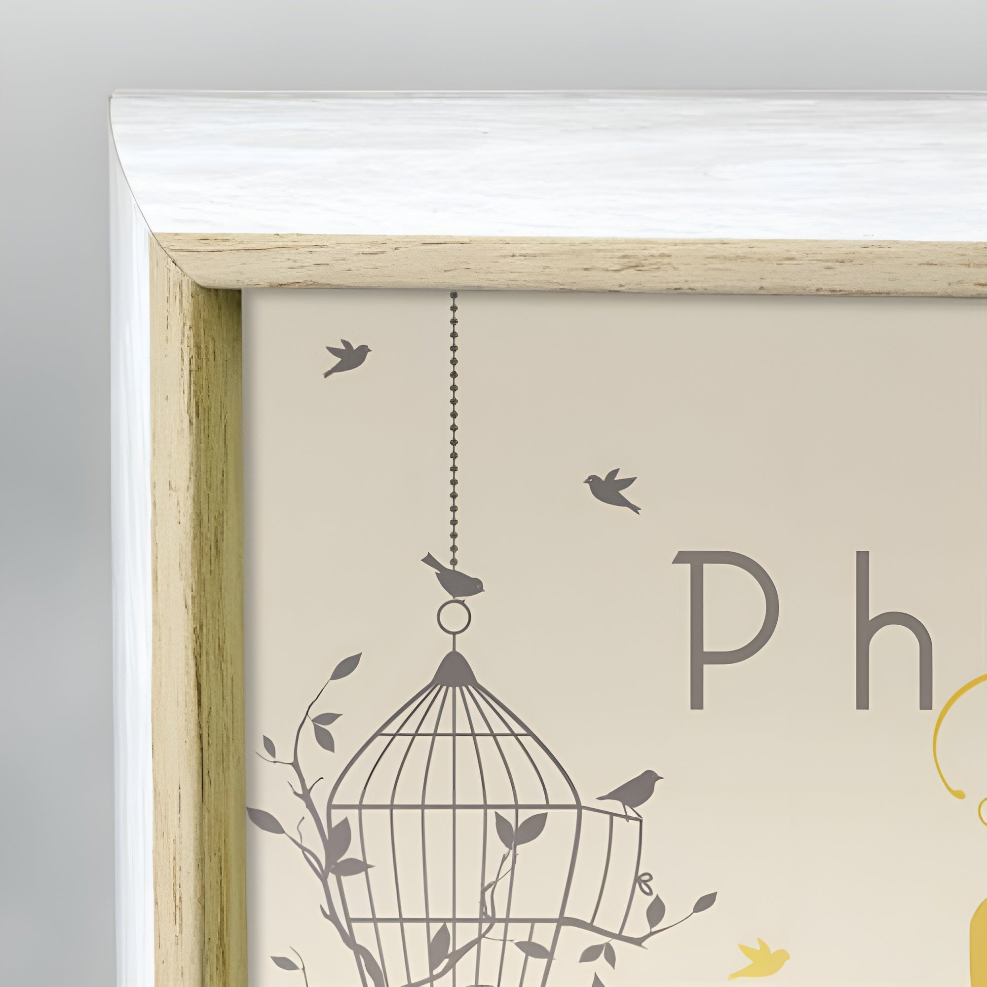 A white ZEP photo frame showcasing a bicycle and a bird cage, combining elements of nature and nostalgia in a delightful arrangement.