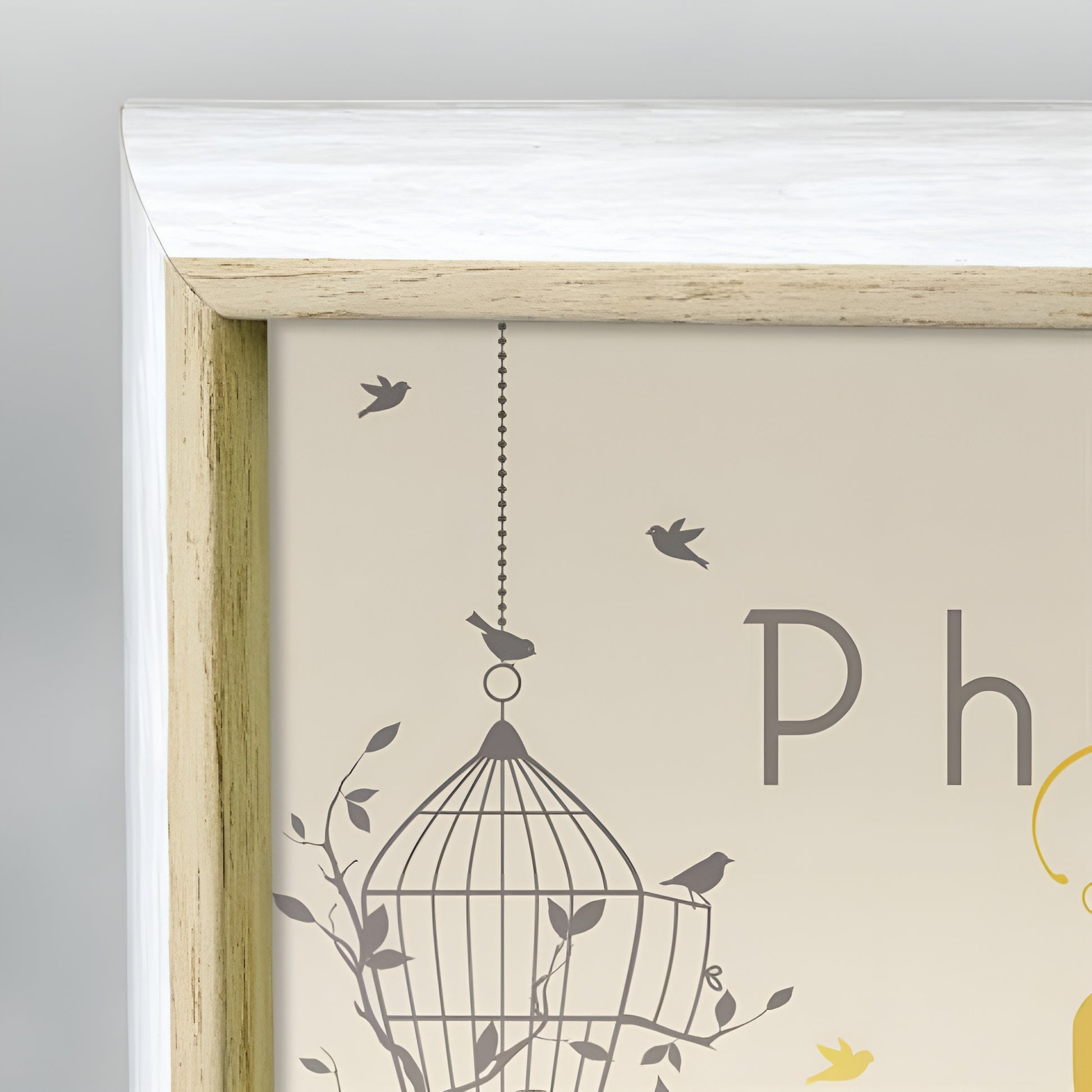 A white ZEP photo frame showcasing a bicycle and a bird cage, combining elements of nature and nostalgia in a delightful arrangement.